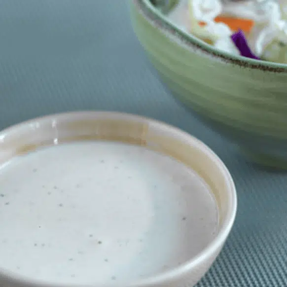 Classic Slaw Dressing