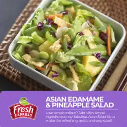 Asian Salad Kit Recipe