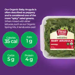 Baby Arugula Organic