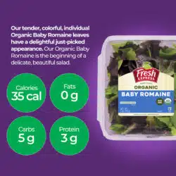 Baby Romaine Organic