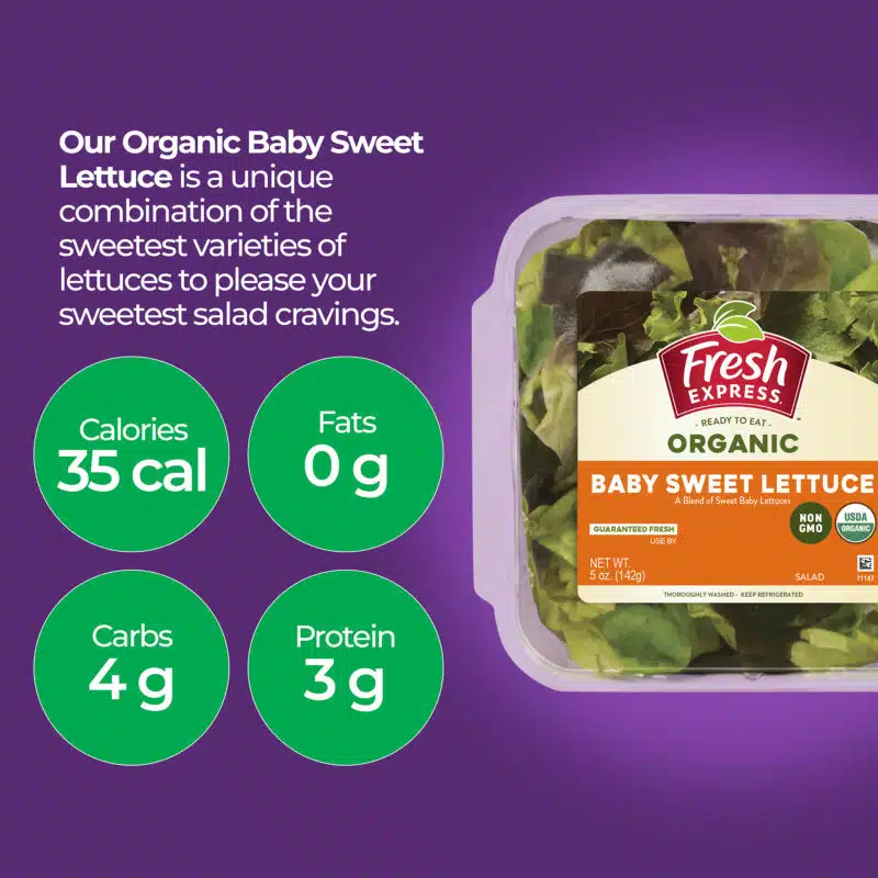 Baby Sweet Lettuce Organic