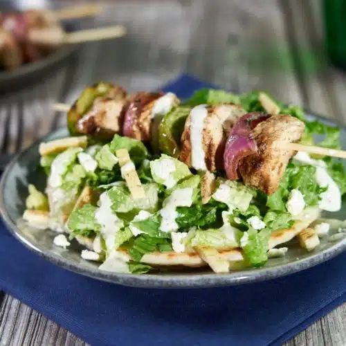 Greek Style Pork Kababs