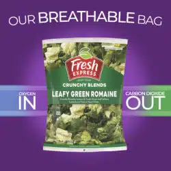 Leafy Green Romaine
