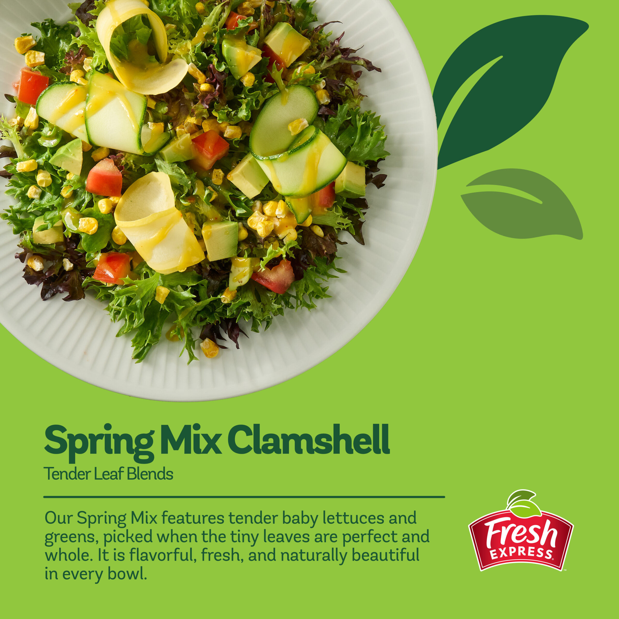 Spring Mix Clamshell - Fresh Express