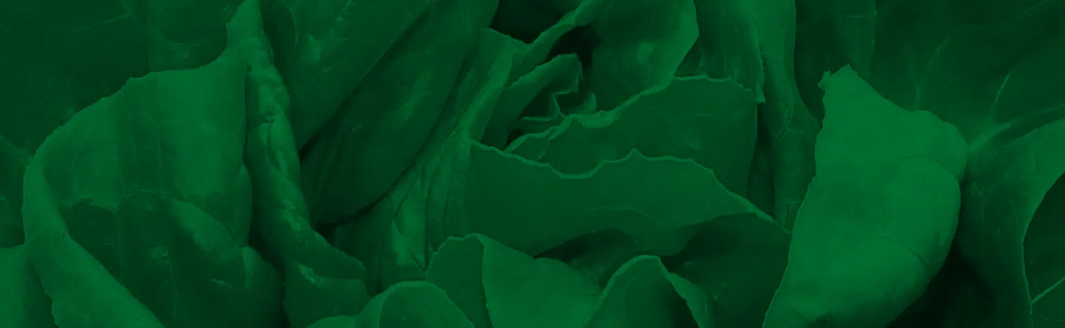 What Does Organic Mean to US