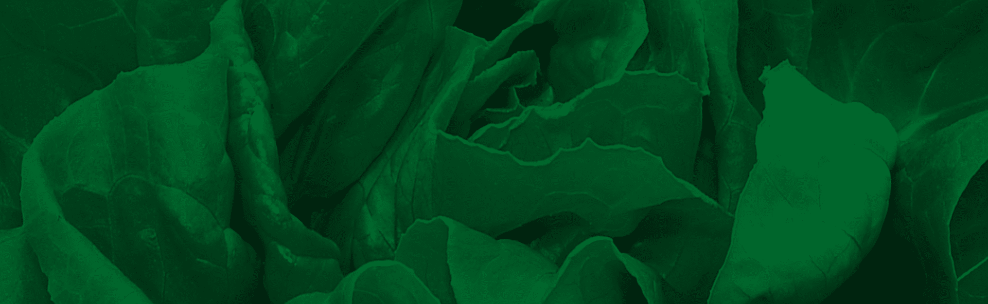 What Does Organic Mean to US