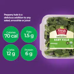 Baby Kale Organic