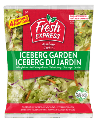 Iceberg Garden