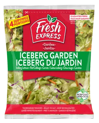 Iceberg Garden