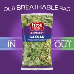 Caesar Chopped Salad Kit™