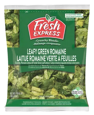 Leafy Green Romaine