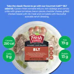BLT Gourmet Cafe Salads® Salad Bowl