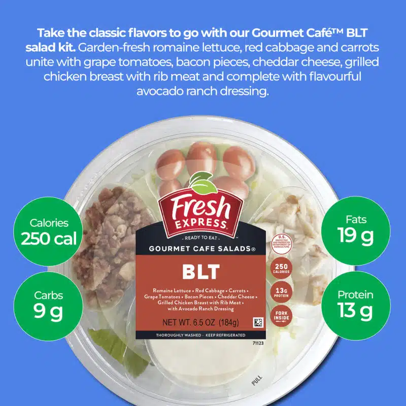 BLT Gourmet Cafe Salads® Salad Bowl