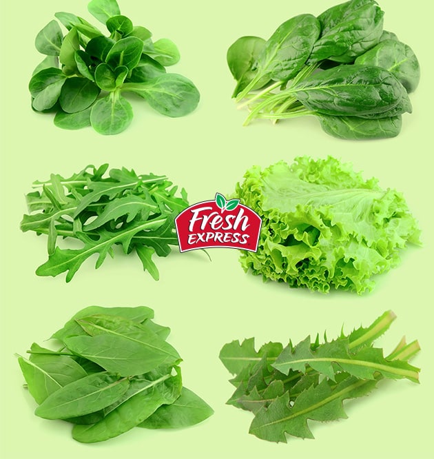 Fresh Express Salad Kits and Recipes