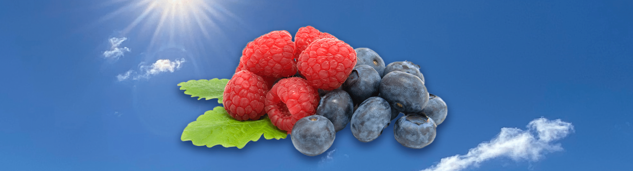 Blueberry Raspberry Chopped Kit Berries