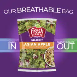 Asian Apple Salad Kit