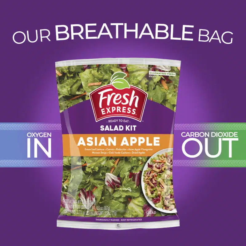 Asian Apple Salad Kit