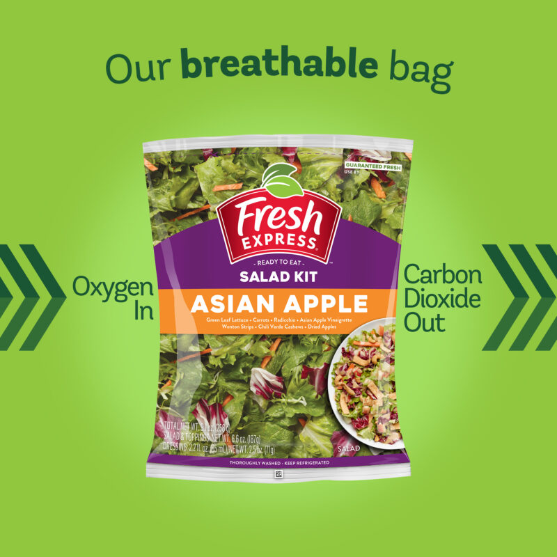 Asian Apple Salad Kit - Fresh Express