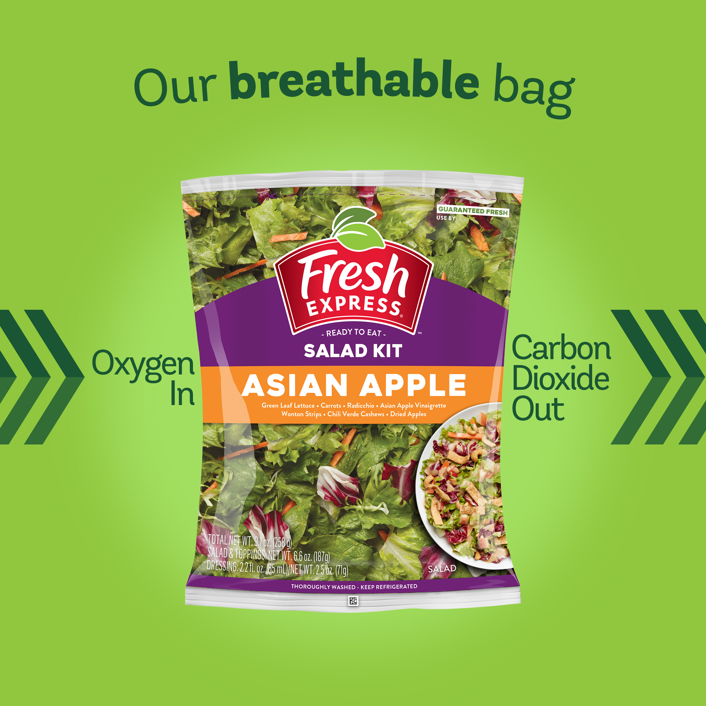 Asian Apple Salad Kit - Fresh Express