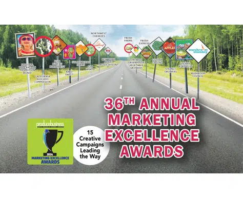 ANNULA MARKETING