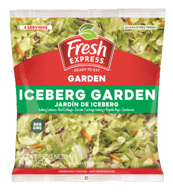 Iceberg Garden
